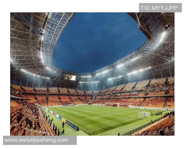 聚焦克罗地亚足球球星17的荣耀之路与绿茵场上的传奇故事