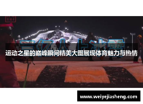 运动之星的巅峰瞬间精美大图展现体育魅力与热情